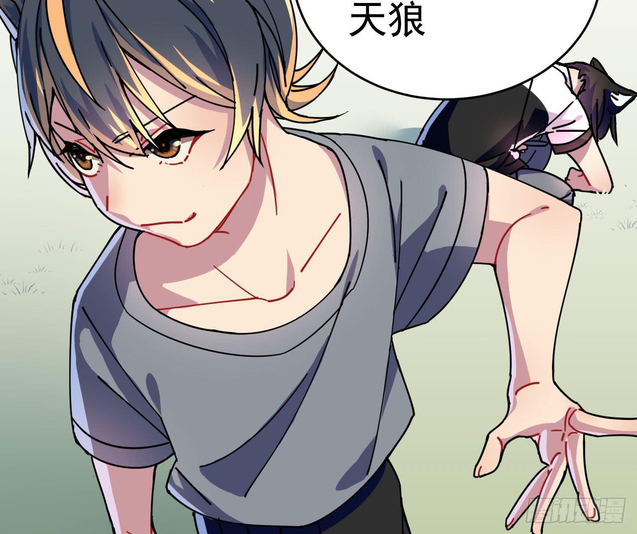 1.天狼45