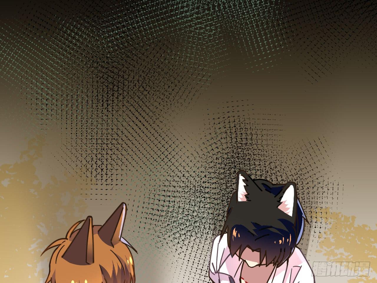 4.追迹55