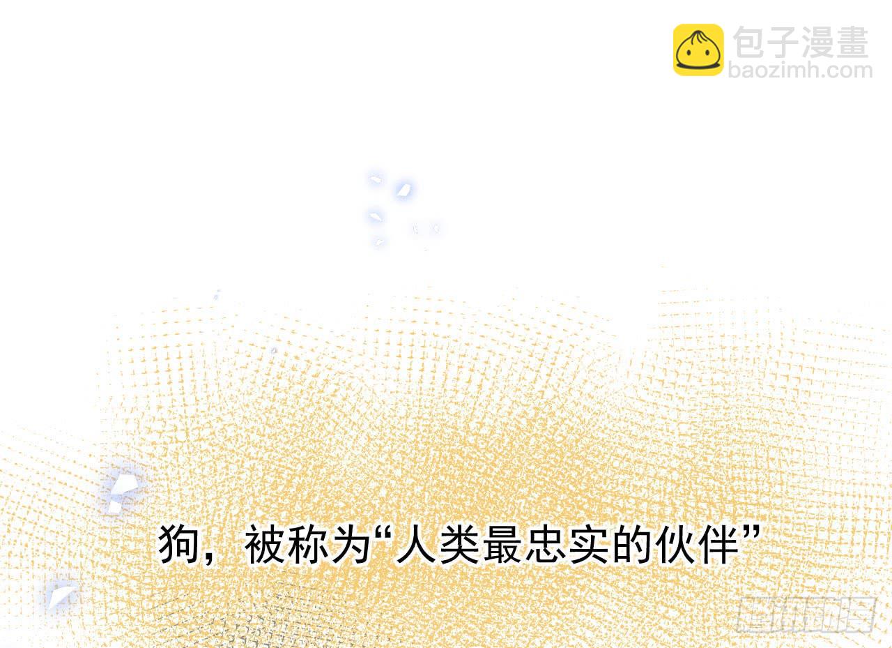 1.天狼14