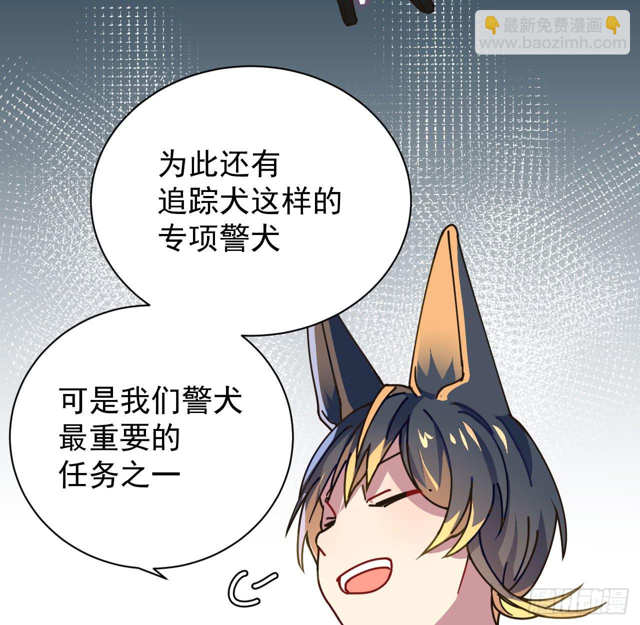 4.追迹13
