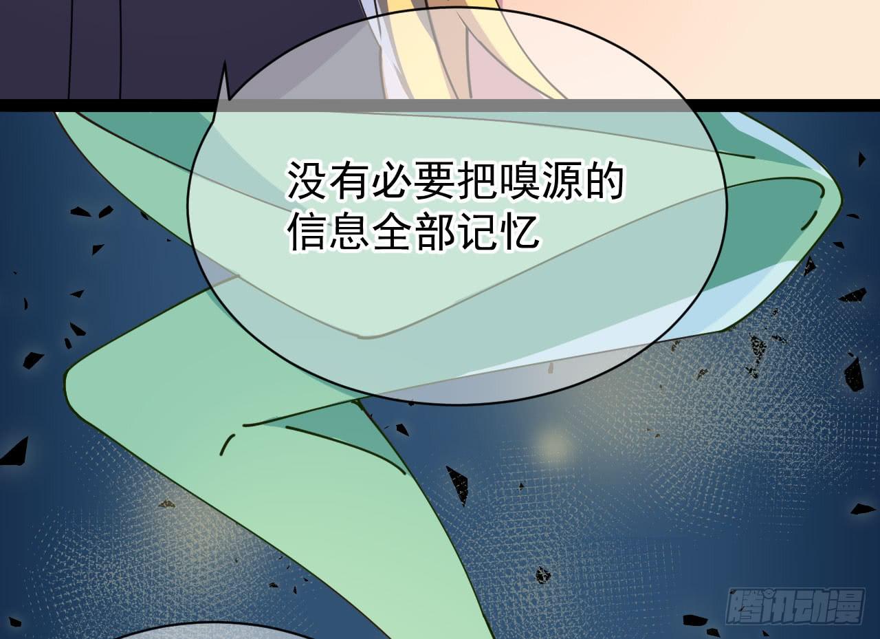 4.追迹77