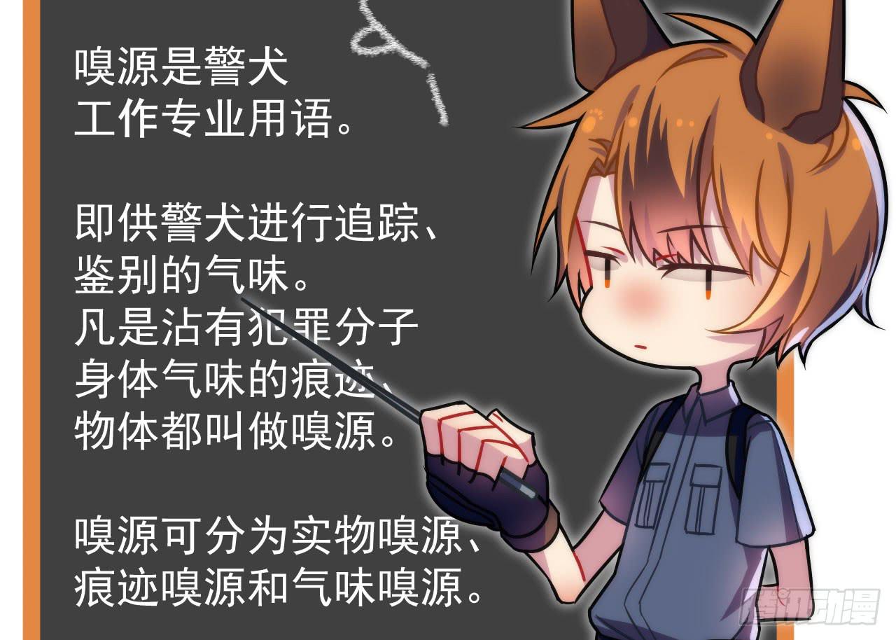 4.追迹94