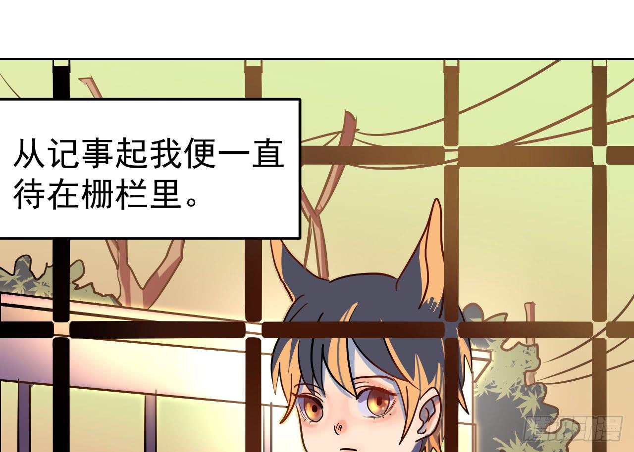 9.契机0