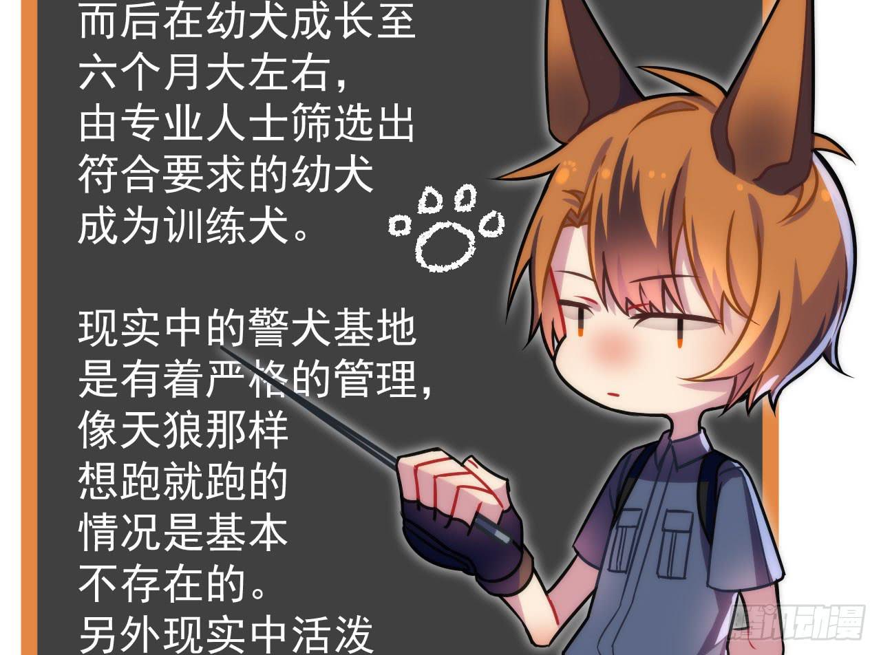 2.失踪97