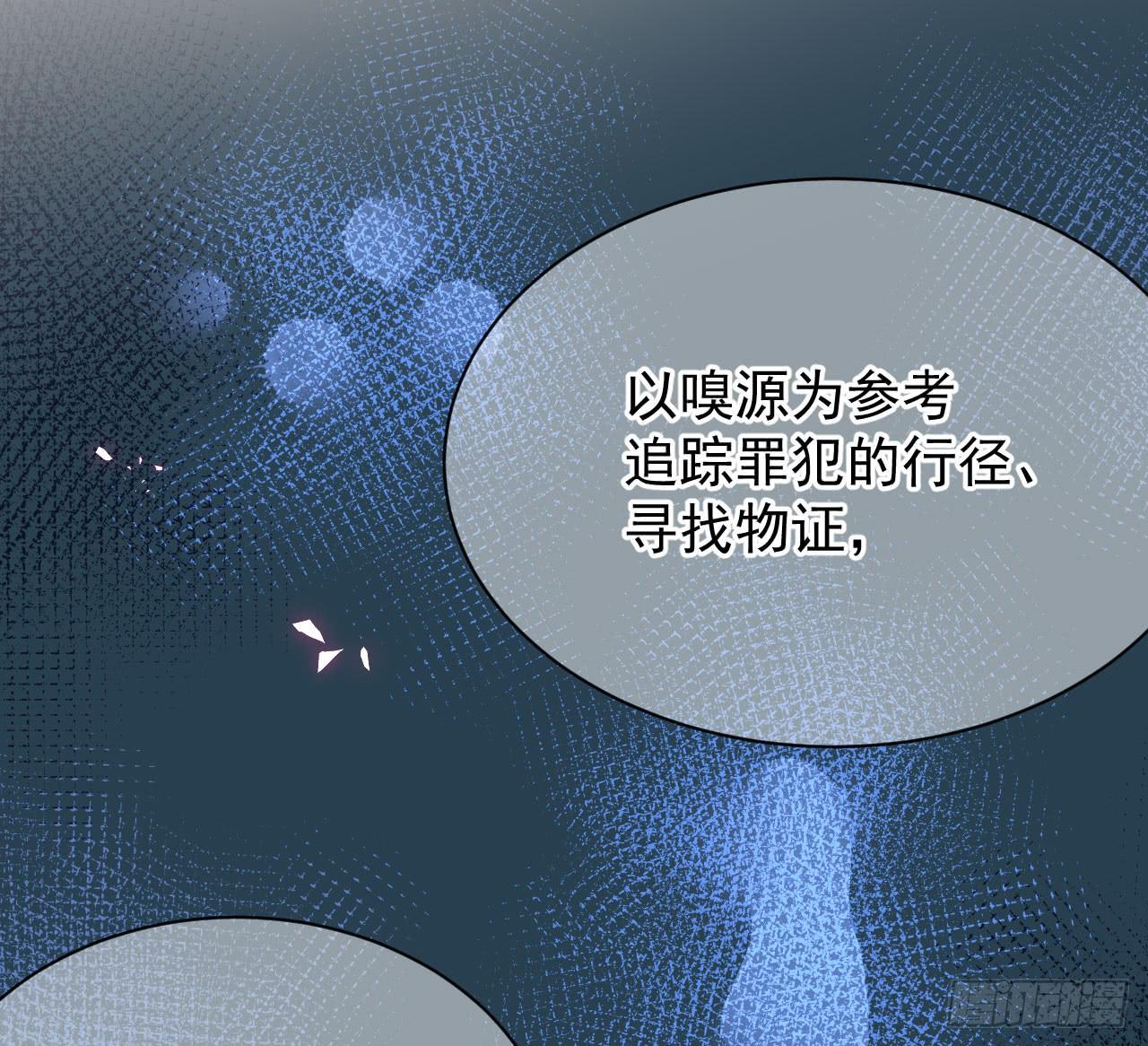 4.追迹10