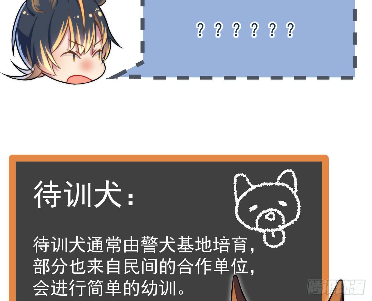 2.失踪96