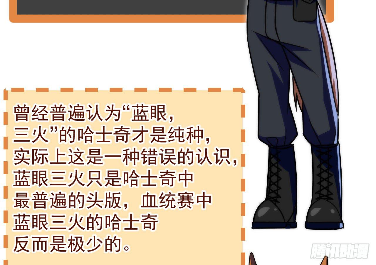 5.侦查111