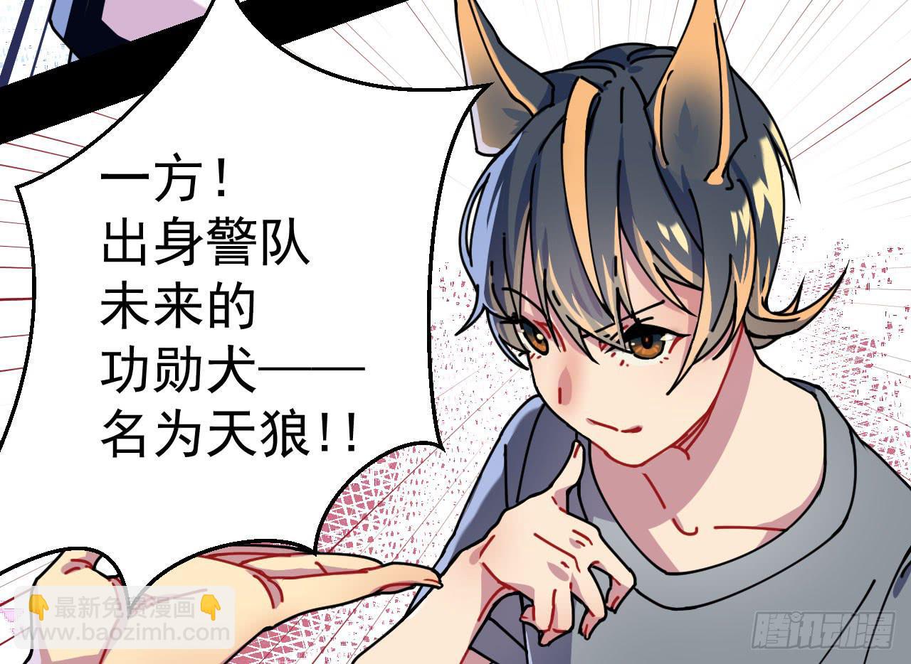 1.天狼5