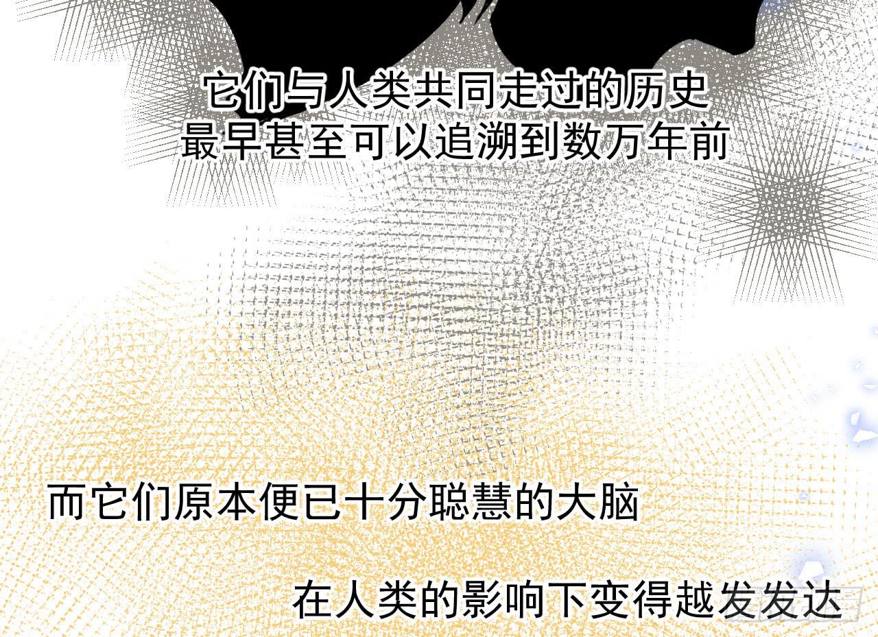 1.天狼16