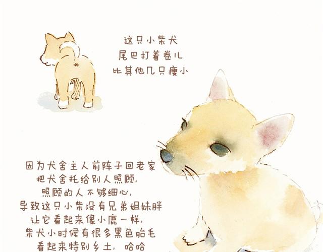 这个纪念日礼物我好喜欢！9