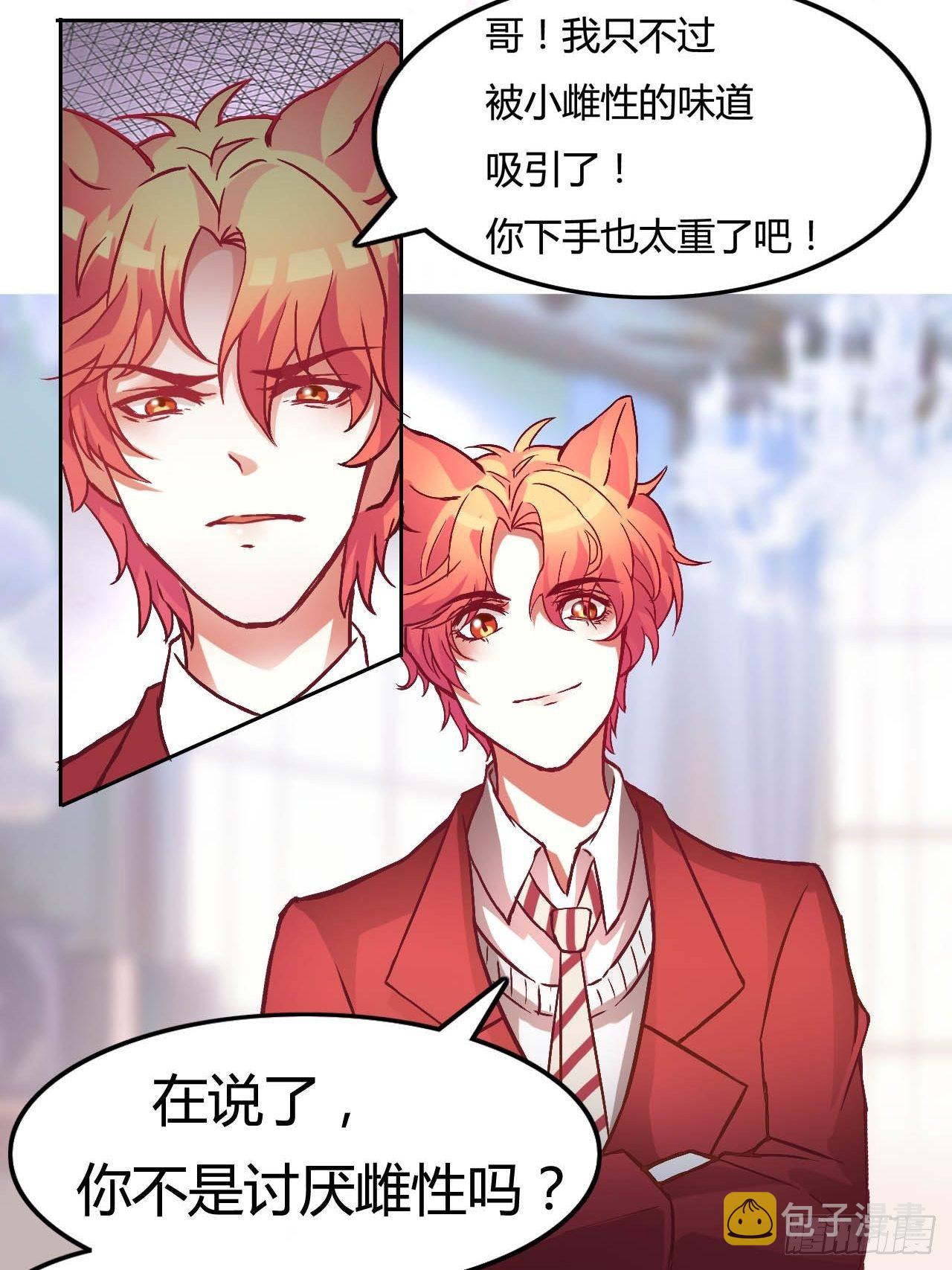 晚宴12