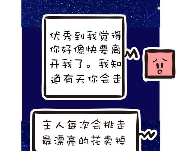 两颗种子，两个相爱的人17