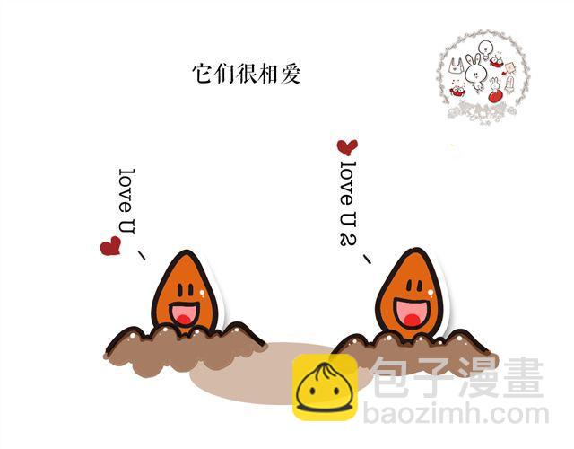 两颗种子，两个相爱的人2