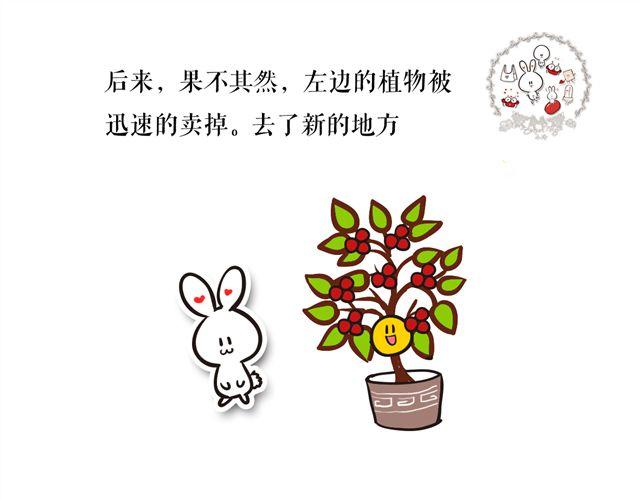 两颗种子，两个相爱的人22
