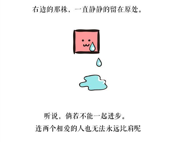 两颗种子，两个相爱的人23