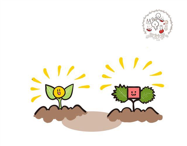 两颗种子，两个相爱的人6