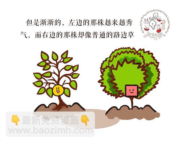 两颗种子，两个相爱的人10