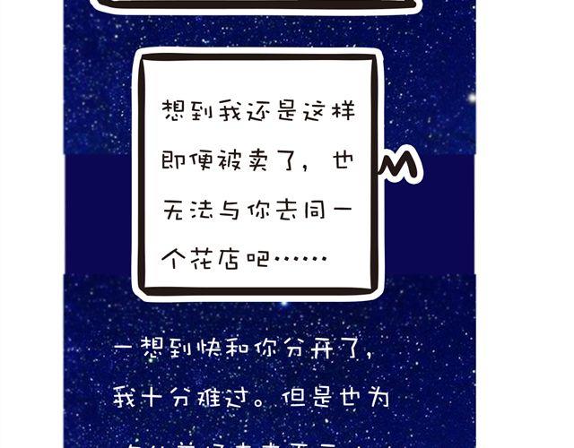两颗种子，两个相爱的人18