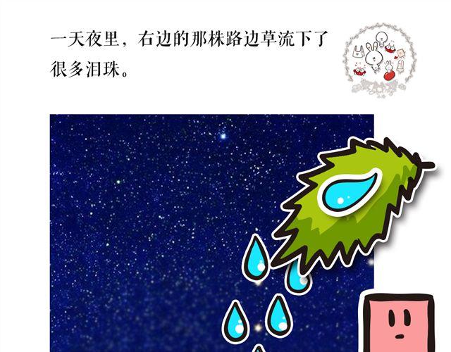 两颗种子，两个相爱的人14