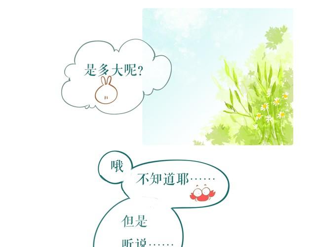 100%的概率2