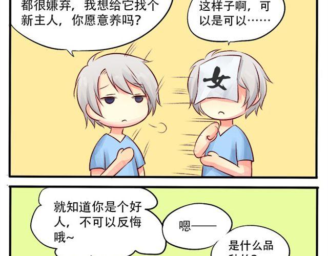你介意养条单身狗吗？10
