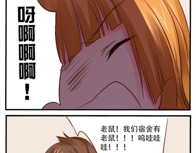 男生与狗不得入内10