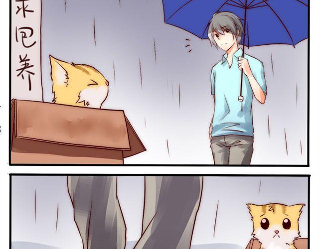 哪浪去了16