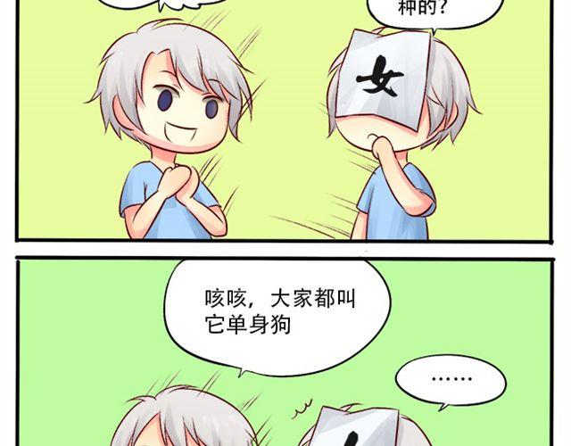 你介意养条单身狗吗？11