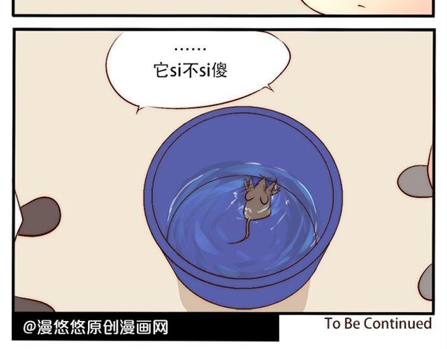 男生与狗不得入内30