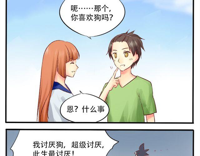 你介意养条单身狗吗？15