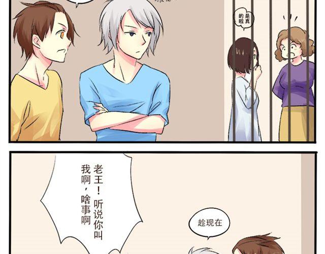 男生与狗不得入内20