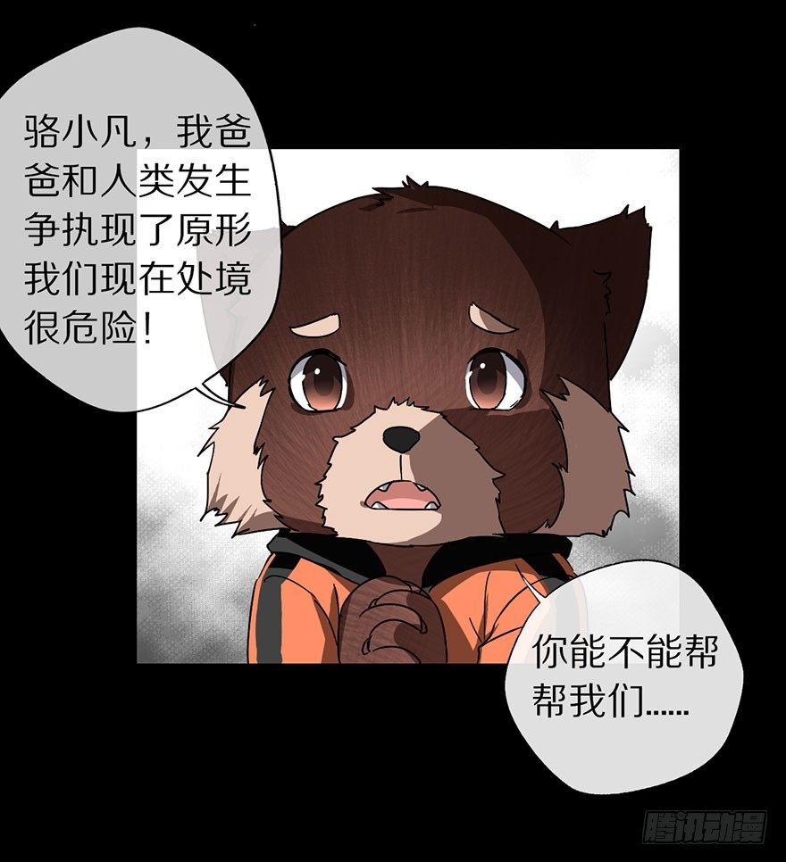 你愿意成为我的寄灵吗？11