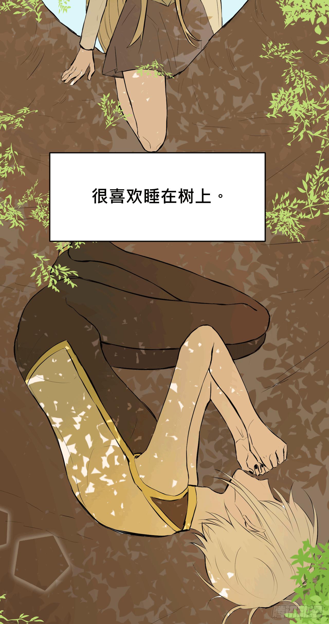 有如一场美梦4