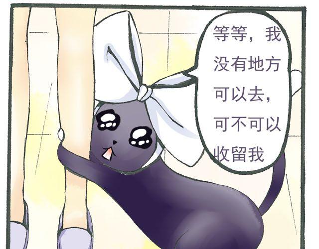 第4话 可不可以收留窝~！12