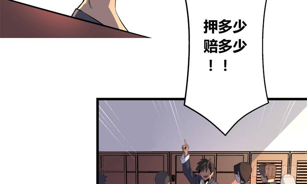 问灵赌约48