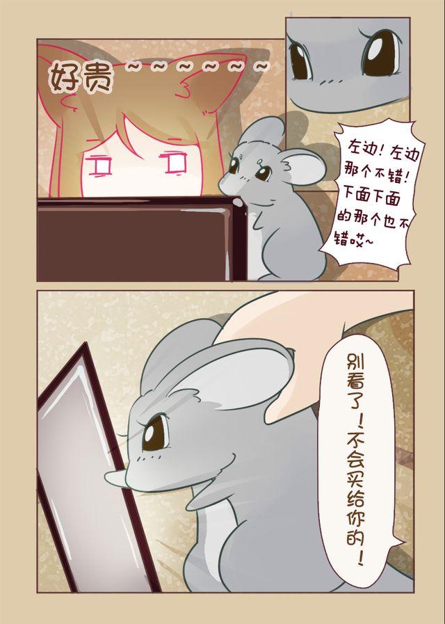 第8话 文艺猫3