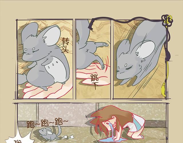第4话 口袋龙猫12