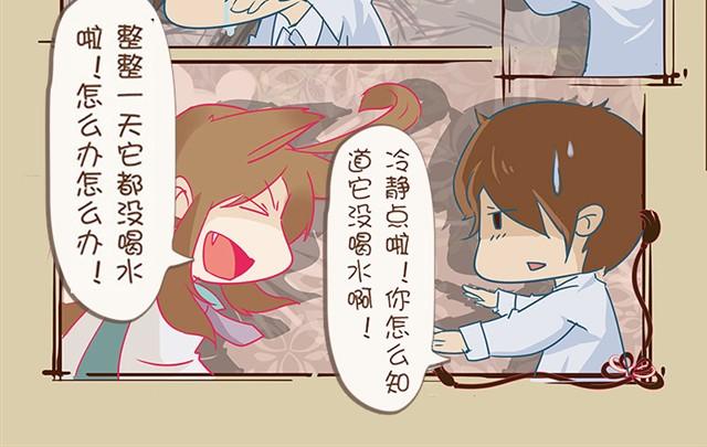 第2话 水壶君之殇3