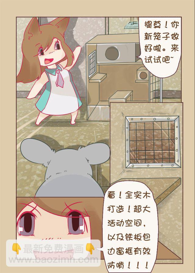 第8话 文艺猫8