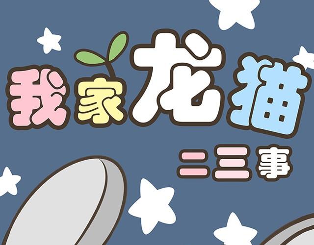 第1话 猫来了0