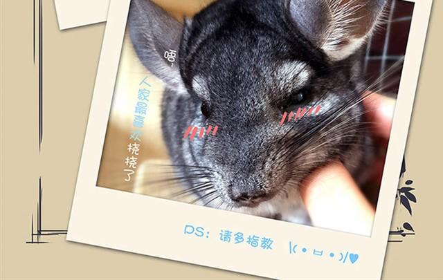 第1话 猫来了29