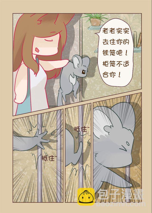 第8话 文艺猫4