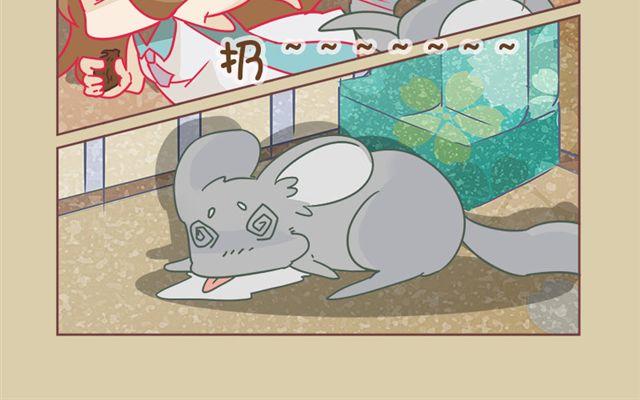 第6话 寻宝小能手21