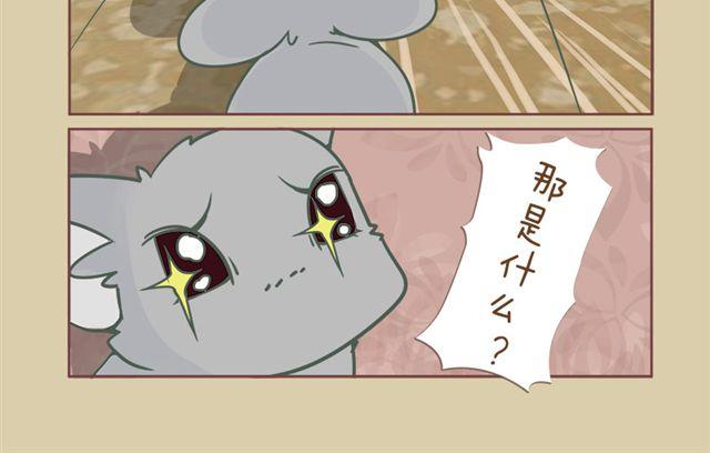 第6话 寻宝小能手3