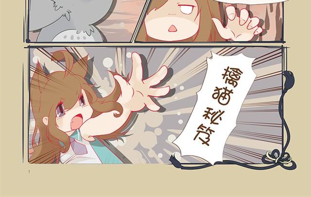 第1话 猫来了19
