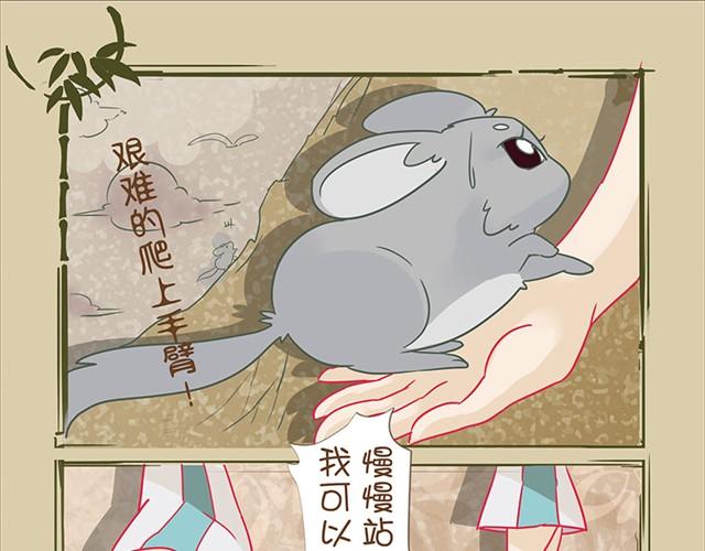第4话 口袋龙猫10