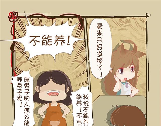 第1话 猫来了6