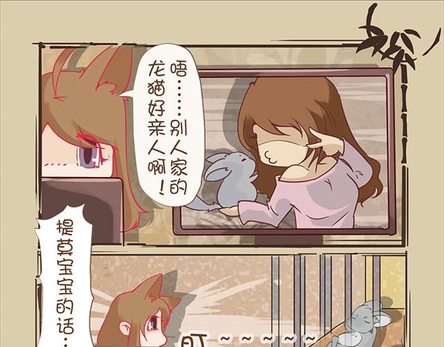 第4话 口袋龙猫0