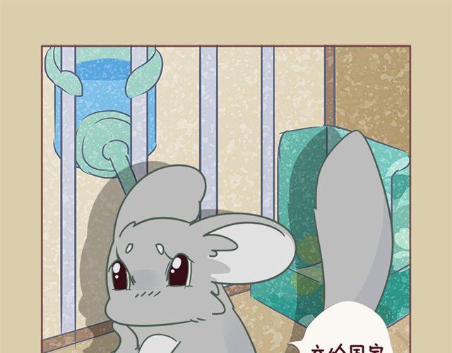 第6话 寻宝小能手22