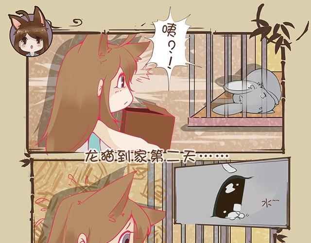 第2话 水壶君之殇0